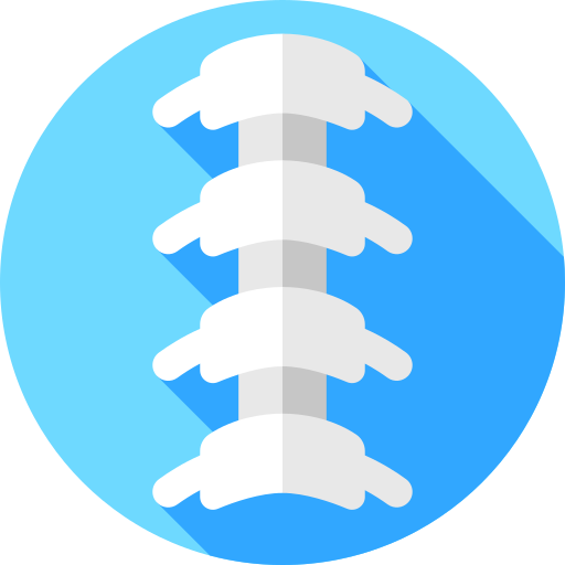 脊椎 Flat Circular Flat icon