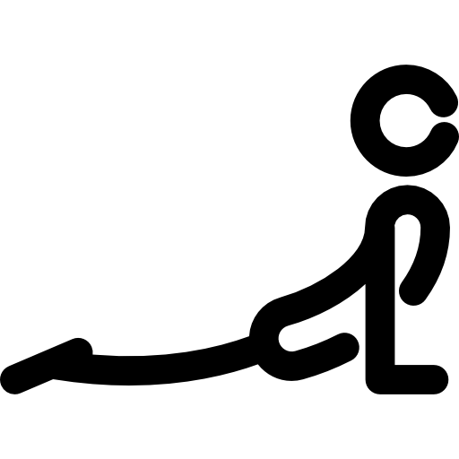 kobra Voysla Lineal icon