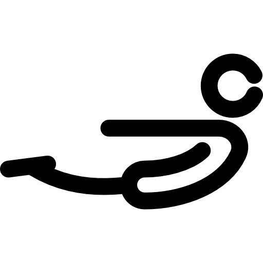 szarańcza Voysla Lineal ikona