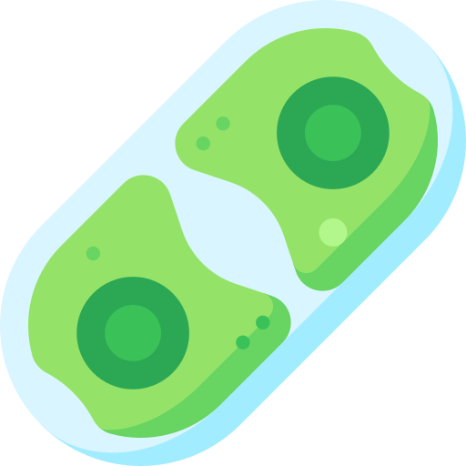 cylindrocystis Special Flat icon