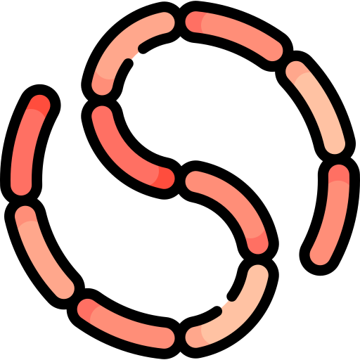 Bacillus Special Lineal color icon