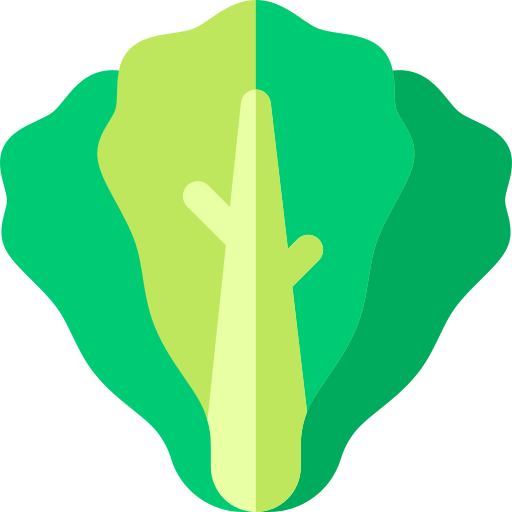 Lettuce Basic Rounded Flat icon