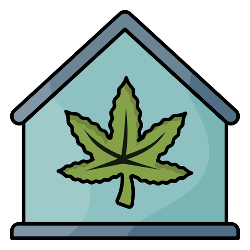 haus Generic Outline Color icon