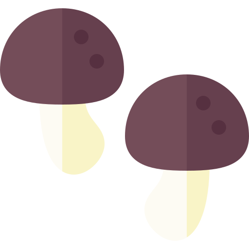 champignon Basic Rounded Flat Icône