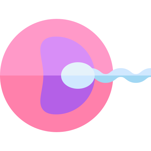 sperma Basic Straight Flat ikona