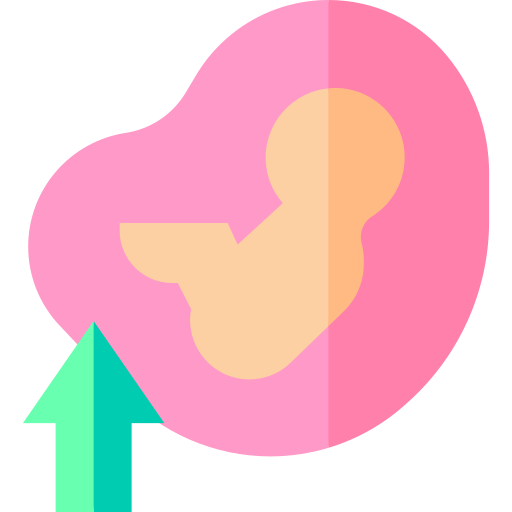 胎児 Basic Straight Flat icon