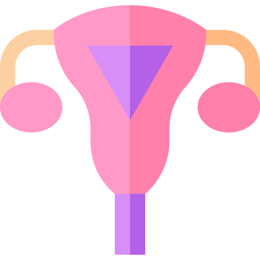Uterus Basic Straight Flat icon