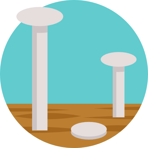 uñas Detailed Flat Circular Flat icono
