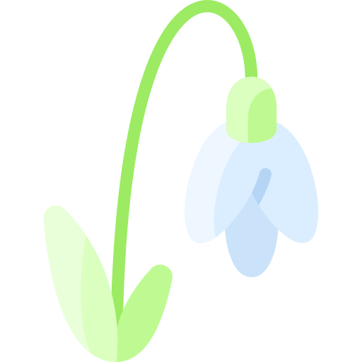 Snowdrop Vitaliy Gorbachev Flat icon