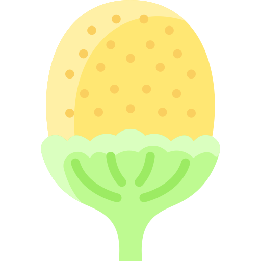 ziele ananasa Vitaliy Gorbachev Flat ikona