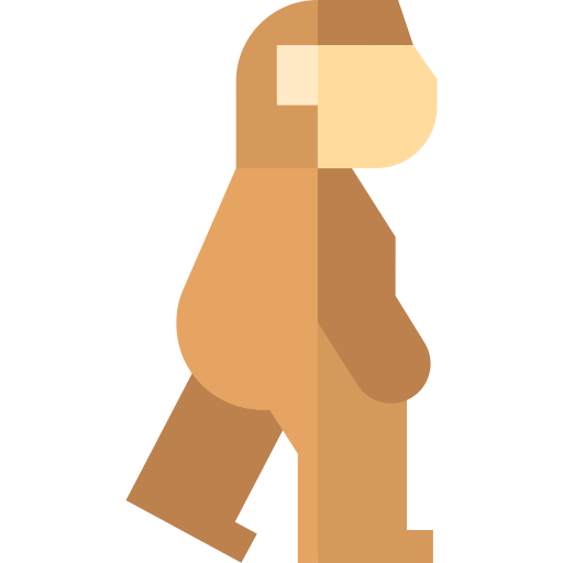 homo erectus Basic Straight Flat icono