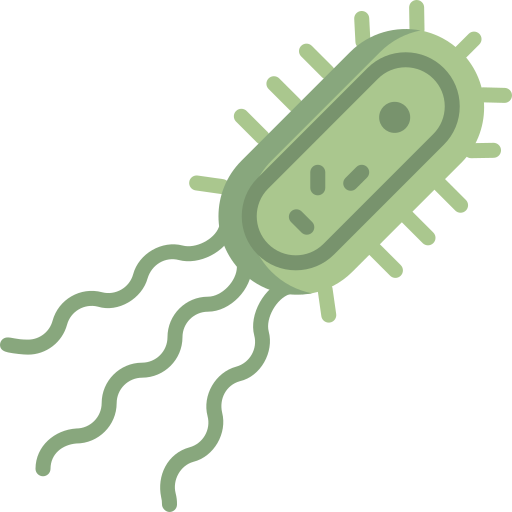 bacterias Special Flat icono