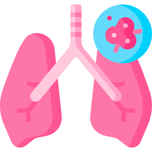 Lung Special Flat icon
