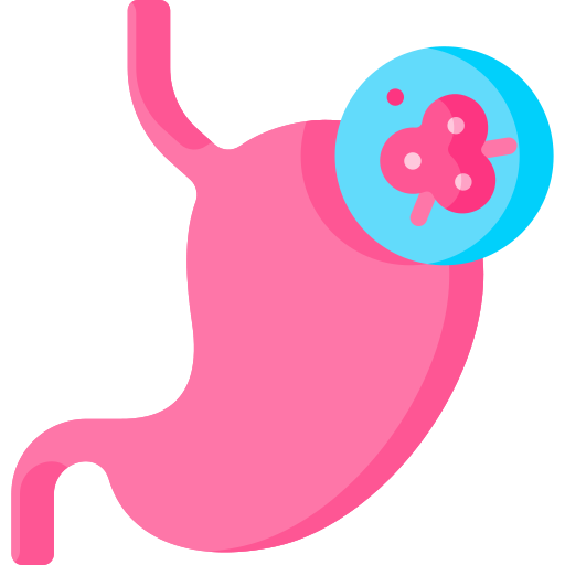 Stomach Special Flat icon