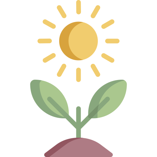 fotosíntesis Special Flat icono