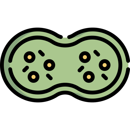 Mitosis Special Lineal color icon