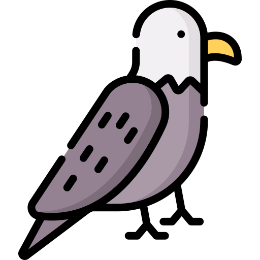 Águila Special Lineal color icono