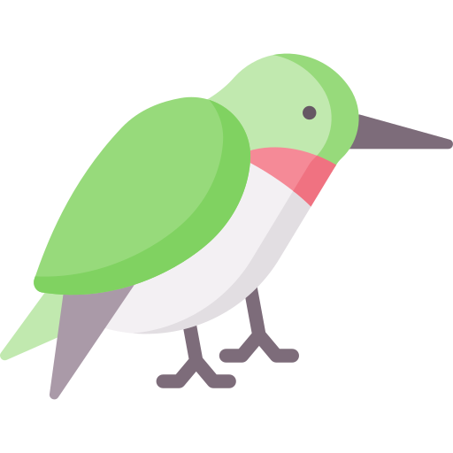 Hummingbird Special Flat icon