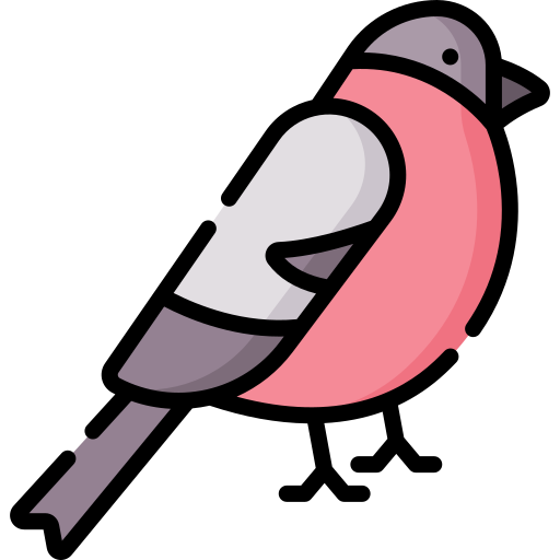 Bullfinch Special Lineal color icon