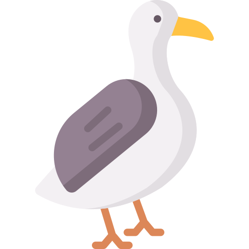 Albatross Special Flat icon