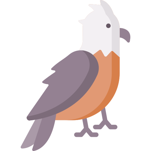 falco pescatore Special Flat icona