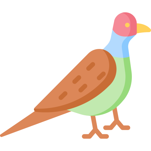 Pheasant Special Flat icon