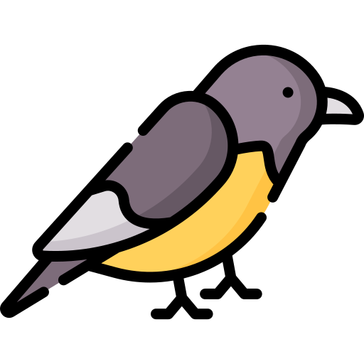 pájaro Special Lineal color icono
