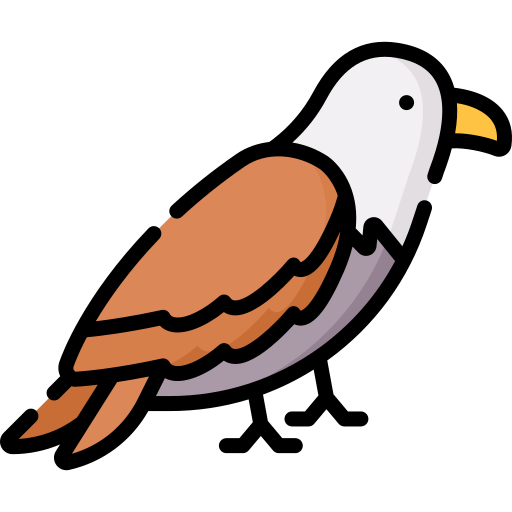 halcón Special Lineal color icono