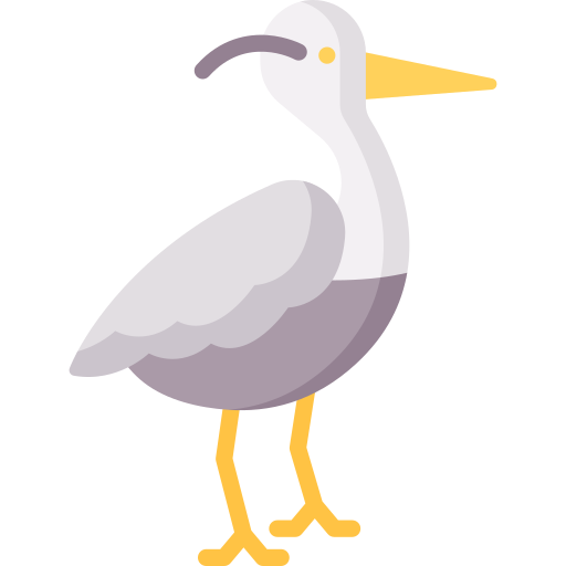 Heron Special Flat icon