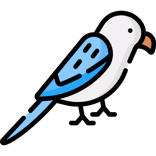 Parakeet Special Lineal color icon