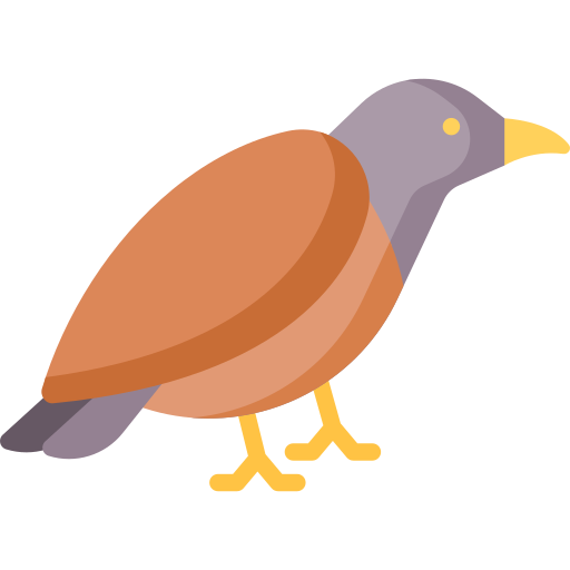 Myna Special Flat icon
