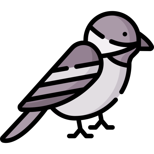 Chickadee Special Lineal color icon