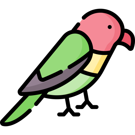 Lovebird Special Lineal color icon