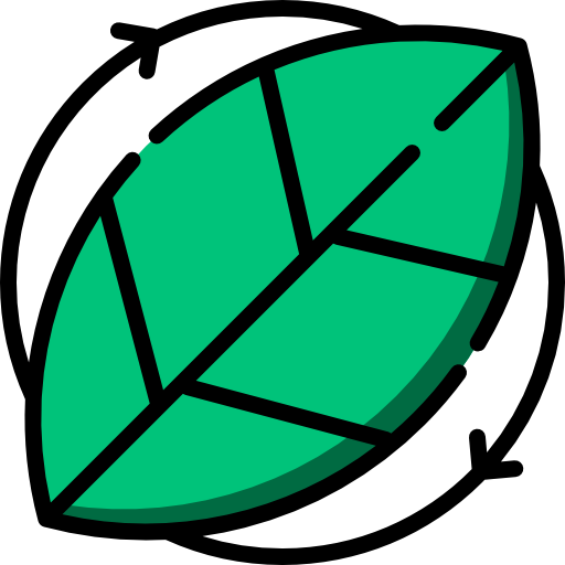 Leaf Special Lineal color icon