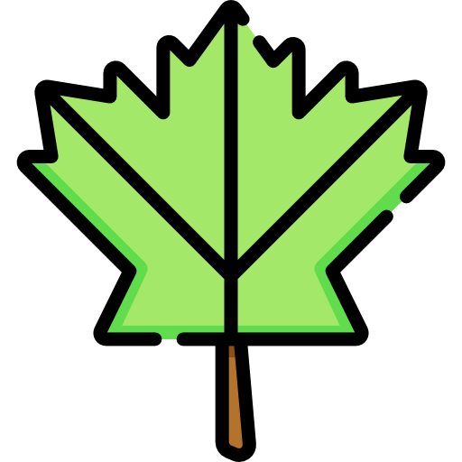 カエデの葉 Special Lineal color icon