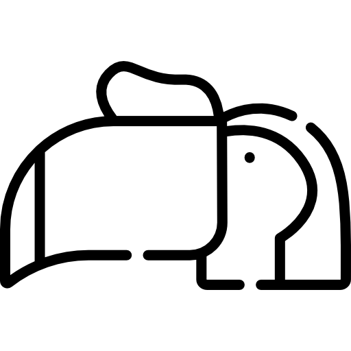 オオハシ Special Lineal icon