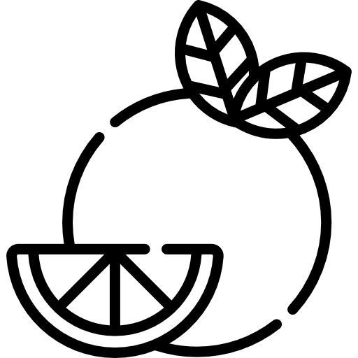 arancia Special Lineal icona
