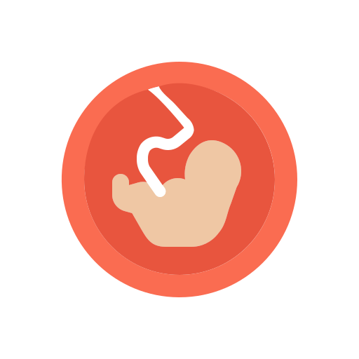 Fetus Generic Flat icon