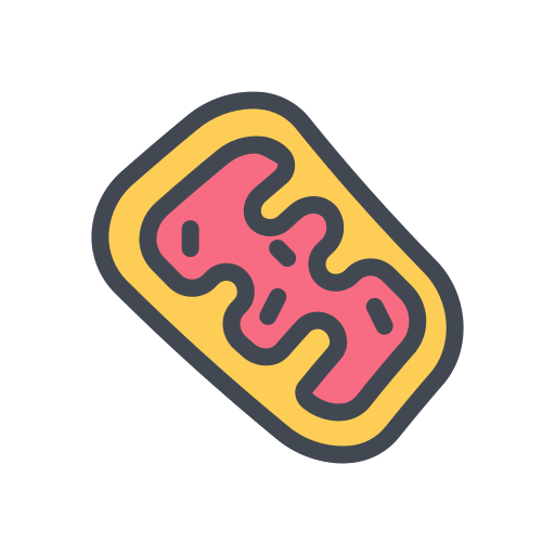 Mitochondria Generic Outline Color icon