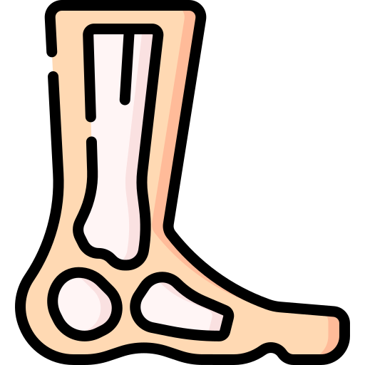 Leg Special Lineal color icon