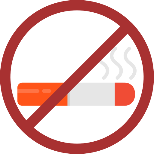 Не курить Generic Flat иконка