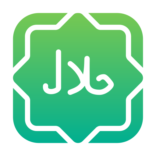 halal Generic Flat Gradient icon