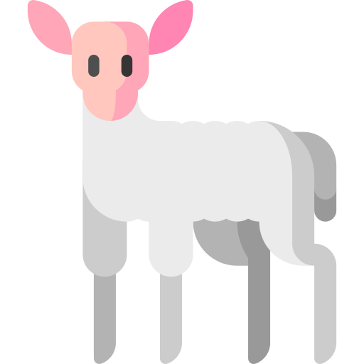 Lamb Special Flat icon