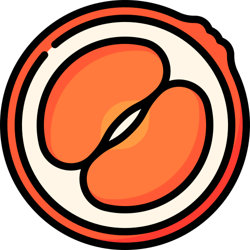 オレンジ Special Lineal color icon
