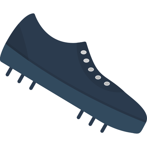 schuh Generic Flat icon