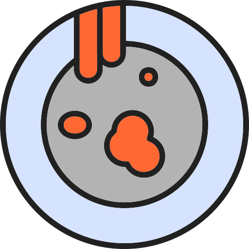 Plate Generic Outline Color icon