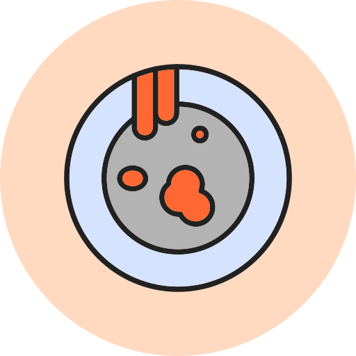 Plate Generic Circular icon