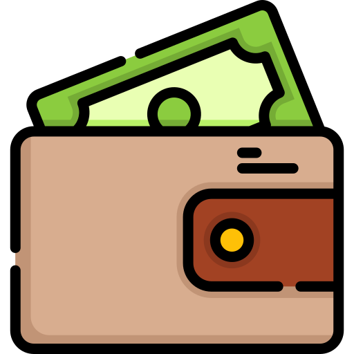 Wallet Special Lineal color icon