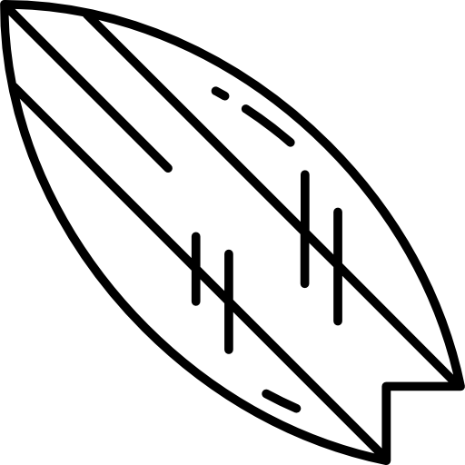 tabla de surf Istar Design Lineal icono
