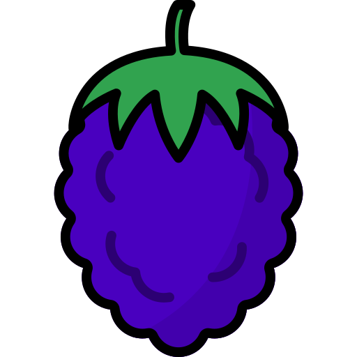 Blackberry Generic Outline Color icon